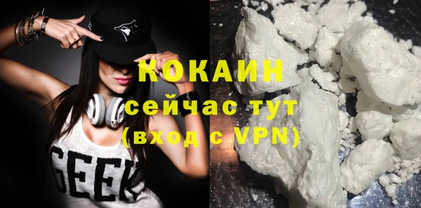 дмт Абаза
