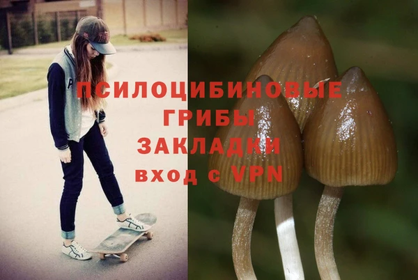 дмт Абаза